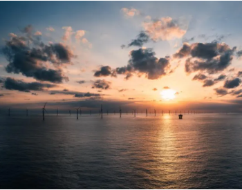 噓！這里有“海上巨獸”