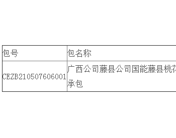 中标 | 广西公司藤县公司国能藤县桃花光伏发电项目A标段工程EPC总承包公开招标中标结果公告