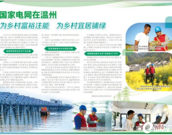 国家电网在浙江温州推进城乡电力服务，推动乡村绿