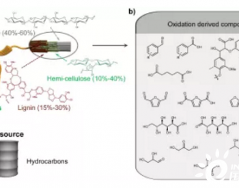 电催化氧化在生物质平台<em>分子</em>高值化方面的反应机理研究