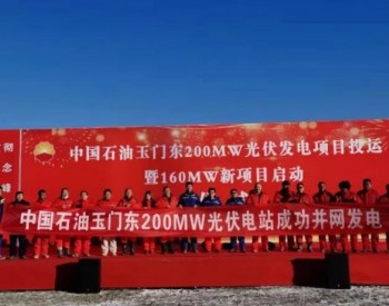 特变电工新能源助力中国石油绿色低碳转型首个大型项目顺利并网
