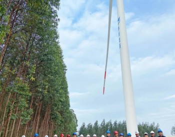 广东<em>湛江</em>风电首个分散式风电项目成功并网