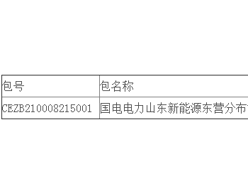 中标 | 国电电力山东新能源东营分布式2.52MWp光伏项目EPC公开招标中标结果公告