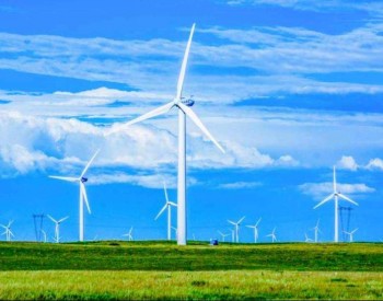 金风2050元/kW、<em>中车株洲</em>2030元/kW！华润电力200MW风机组采购项目预中标结果出炉！