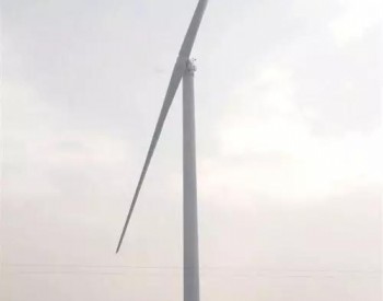 德國計劃新建300萬千瓦海上風電項目