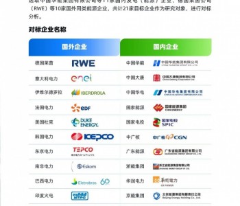 中电联发布中国11家发电集团VS全球10家著名电力企