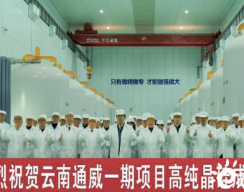 <em>云南通威</em>一期5万吨高纯晶硅项目首批高纯晶硅正品成功出炉