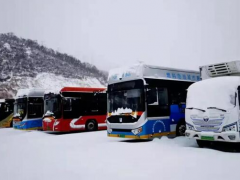 北京冬奥会这一大规模投入全球首次！上海出品氢能汽车蓄势待发