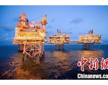 中海油国际2021年经营业绩创近年新高