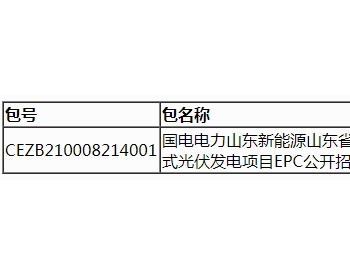 中标 | 国电电力山东新<em>能源山</em>东省潍坊潍城（一期）6.96MW整县（区）分布式光伏发电项目EPC公开招标中标结果公告