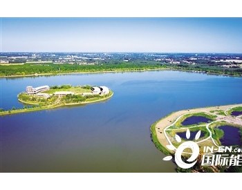 山东助力水环境质量持续改善 力争明年底新建人工湿地139处