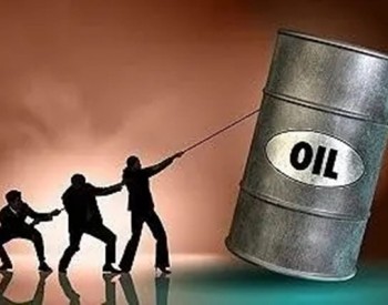 我国<em>原油进口量</em>和对外依存度20年来首降
