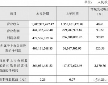 去年盈利逾4亿！金开新能拟募资40亿元加码光伏电站