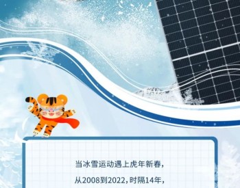 “更快、更高、更强、更团结”并网“飞人”隆基的致胜秘诀