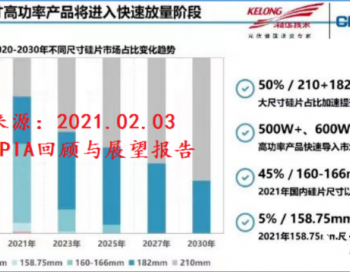 复盘2021大尺寸组件市场，谁是最大赢家？