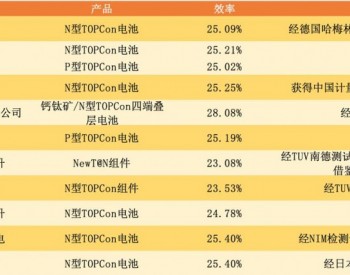 深度：<em>扩张</em>凶猛，TOPCon 风来了！