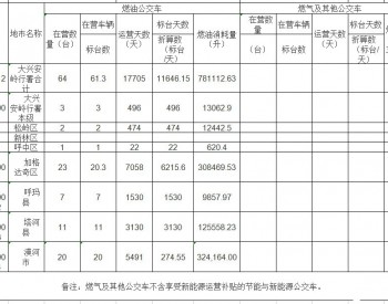 2020年度黑龙江省大兴安岭城市公交车燃油（含燃气及其他）补贴申报数据统计汇总表