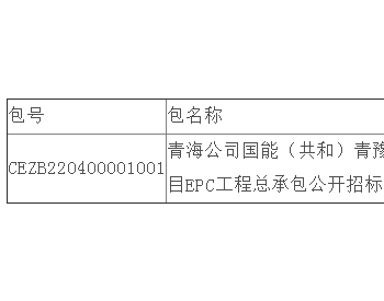 中标 | 青海公司国能（共和）青豫直流二期<em>外送项目</em>一期300MW光伏项目EPC工程总承包公开招标中标结果公告