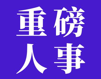 人事！王勇任电气风电<em>副总裁</em>！