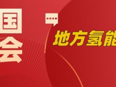 17人！10省市！全国<em>两会</em>代表委员多维度指引氢能发展！