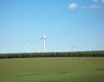 事关风电绿色电力交易！广东开展2022年4月可再生能源绿色电力交易