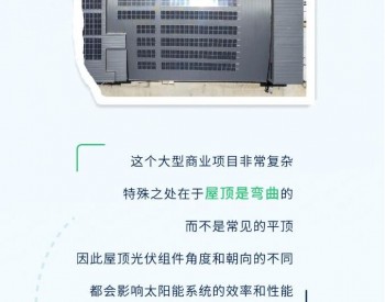 澳大利亚首都上演的“速度与激情”