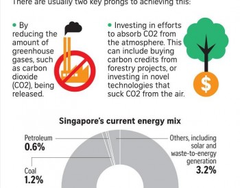 通过清洁能源进口和碳补偿，新加坡电力部门预计到<em>2050年实现净零排放</em>