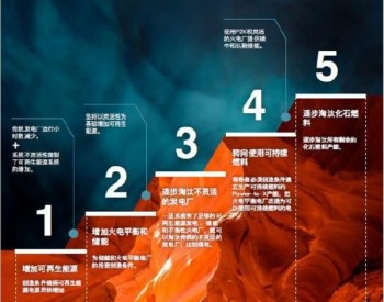 瓦锡兰发布《率先实现<em>净零排放</em>》报告 助力全球加速能源转型