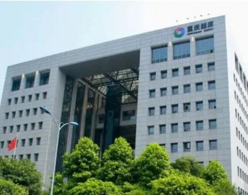 ​申请<em>破产重整</em>，重庆能源集团怎么了？