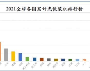 2021全球光伏英雄榜出炉！
