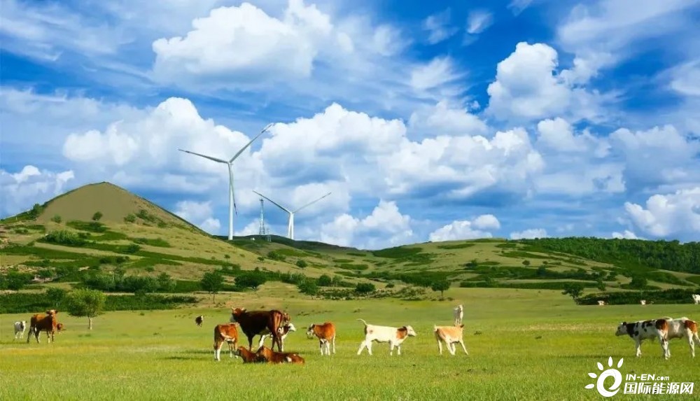 风电——投资地球的最佳标的