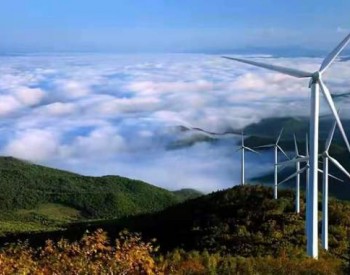<em>中国风电</em>领跑世界，欧美却鼓动拆除，风力发电真的有危害吗？