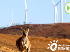 <em>西澳大利亚</em>州将研究可再生氢气