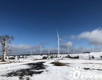 牧牛山风电项目并网性能跃居澳洲行业领先位置