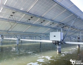 Lightsource bp在台湾建造150MW渔业太阳能农场