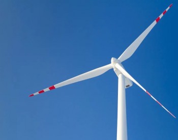 葉片越來越長，國外軟件越來越不頂用