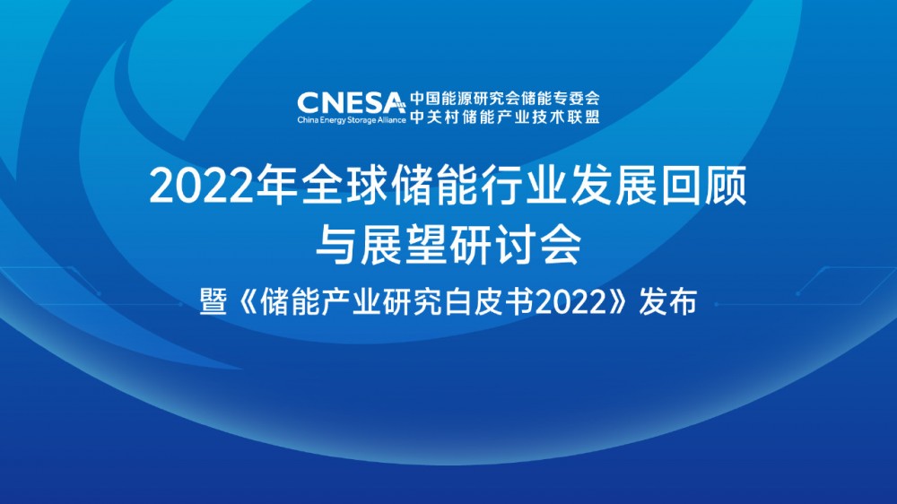 2022年全球储能行业发展回顾与展望研讨会