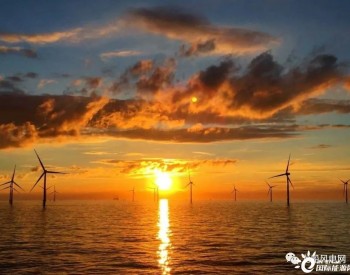 丹麦<em>拒绝</em>多个海上风电项目！