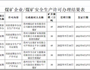 贵州省能源局关于<em>煤矿企业</em>/煤矿安全生产许可证办理情况的公告（第十八次））