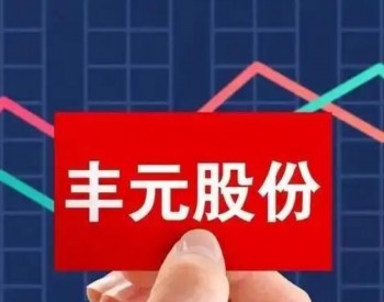 <em>锂电池正极材料</em>价格大幅上涨 丰元股份上半年净利润同比预增约三倍