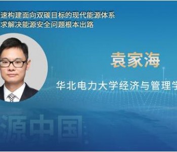 华北电力大学教授袁家海：构建新型电力系统是保障我国能源电力安全的长治久安之策