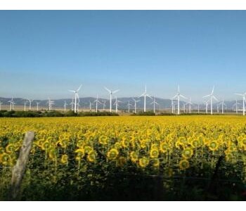 国际能源网-风电每日报丨3分钟·纵览风电事！（7