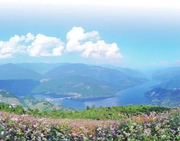 华北地区河湖生态环境复苏夏季补水完成