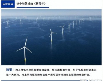 全球海上风电“大跃进”呈现四大趋势，风电制绿氢时代来临