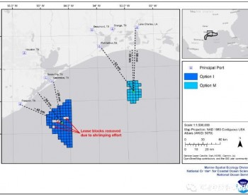 美国宣布2个新的<em>海上风能</em>区，在墨西哥湾安装15GW海上风电