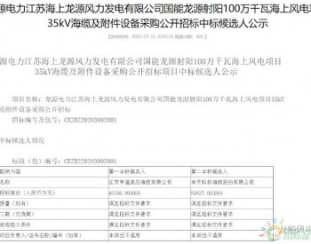 中标 | 龙源电力1000MW海上风电项目公布中标候选人