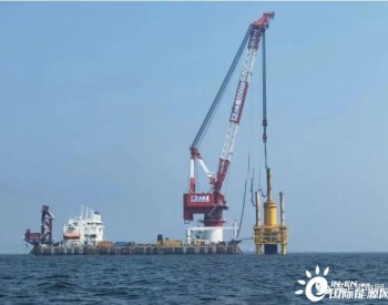 304MW！中广核山东莱州海上风电项目首桩沉桩顺利完成