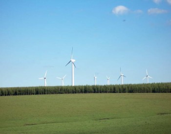 國際能源網-風電每日報丨3分鐘·縱覽風電事！（8月4日）