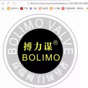 瑞士Belimo搏力谋执行器（中国）有限公司