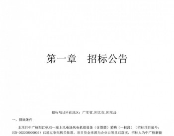 招标 | 1000MW！国内海上风电项目启动招标